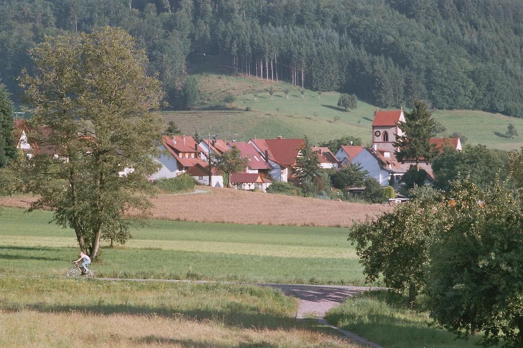 Landgasthof Ochsen Зельбах Экстерьер фото
